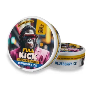 Full Kick Blueberry Ice - 25 pouches 20mg